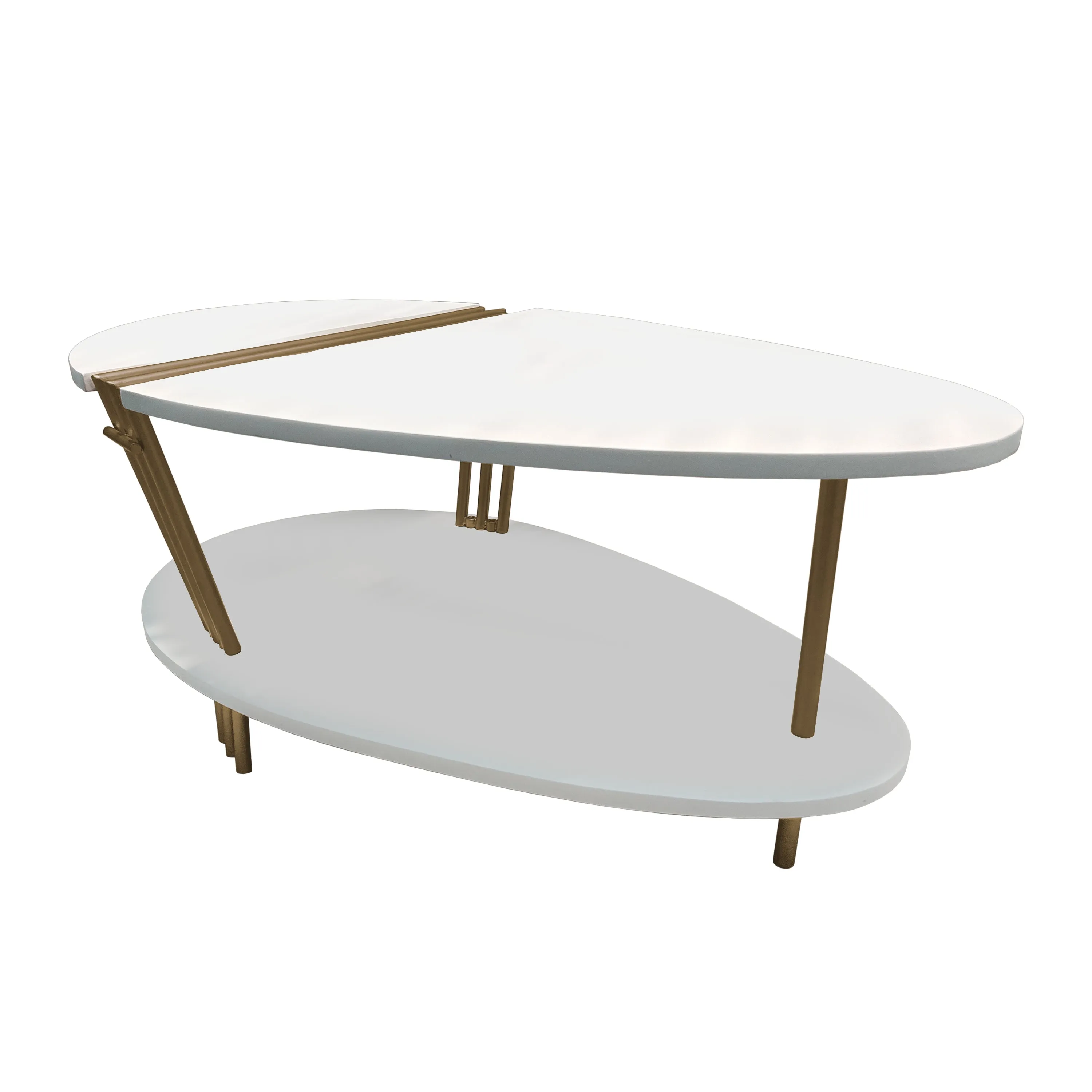 36 Inch Modern Coffee Table, Oval Elliptical Shape, White Mango Wood With Antique Brass The Urban Port