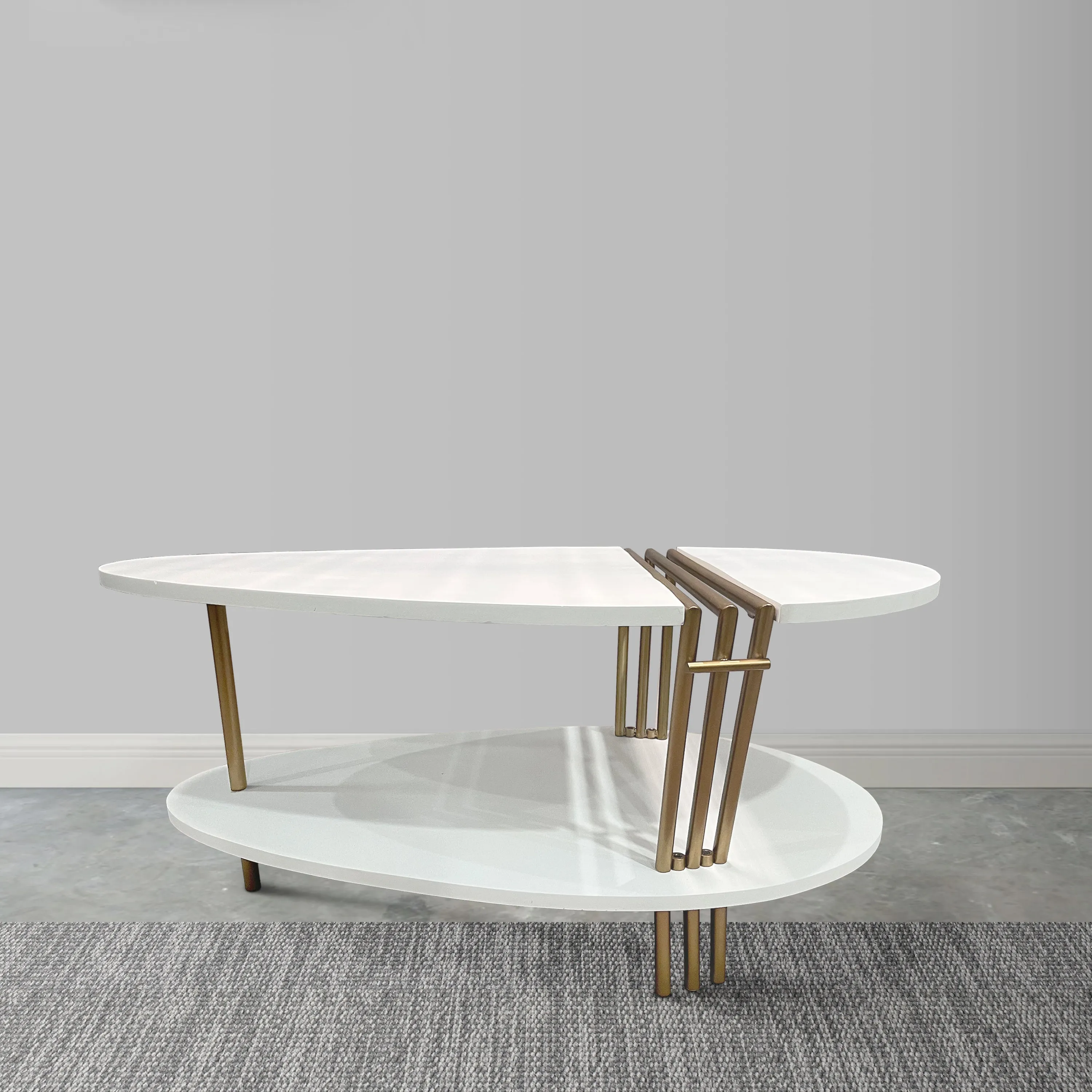 36 Inch Modern Coffee Table, Oval Elliptical Shape, White Mango Wood With Antique Brass The Urban Port