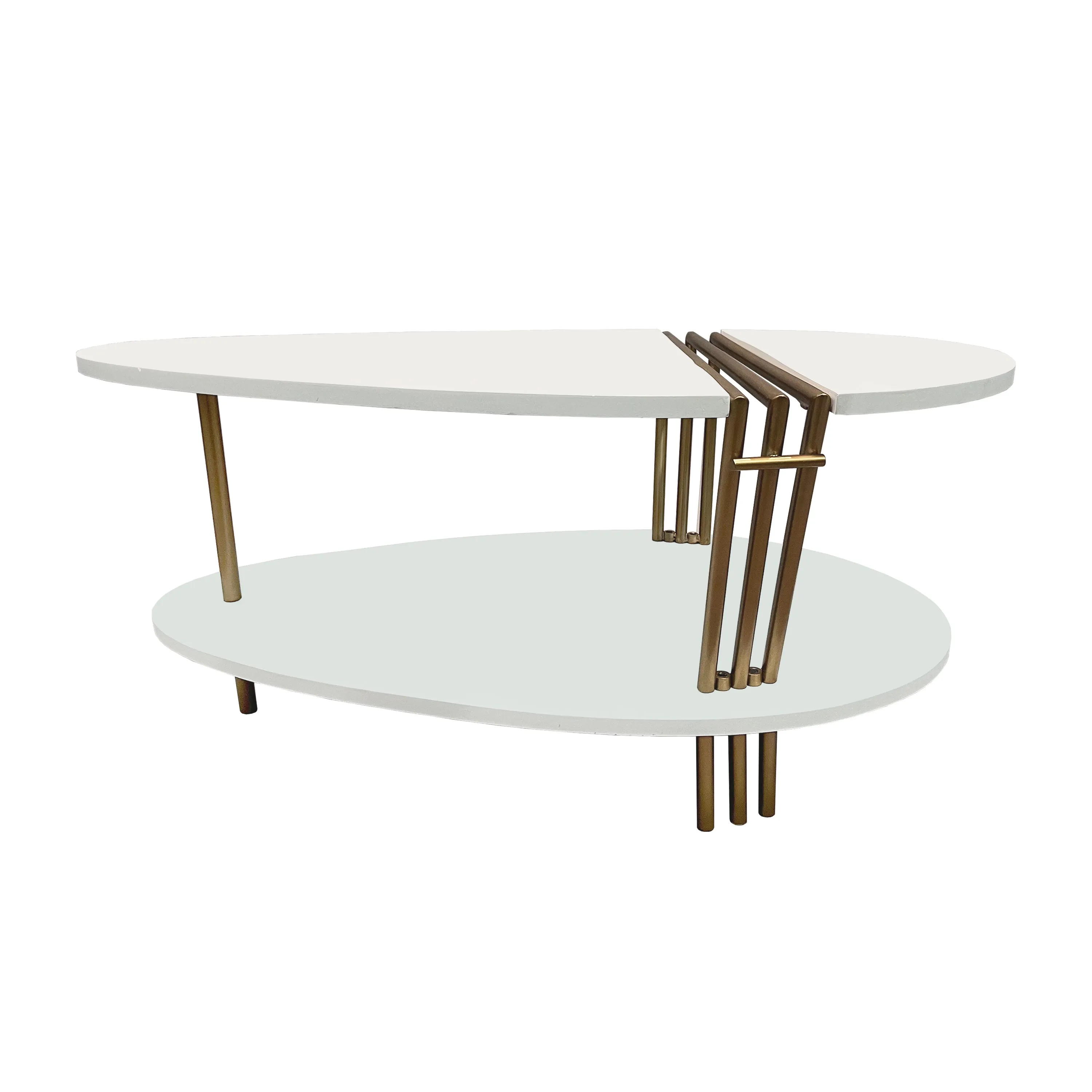 36 Inch Modern Coffee Table, Oval Elliptical Shape, White Mango Wood With Antique Brass The Urban Port