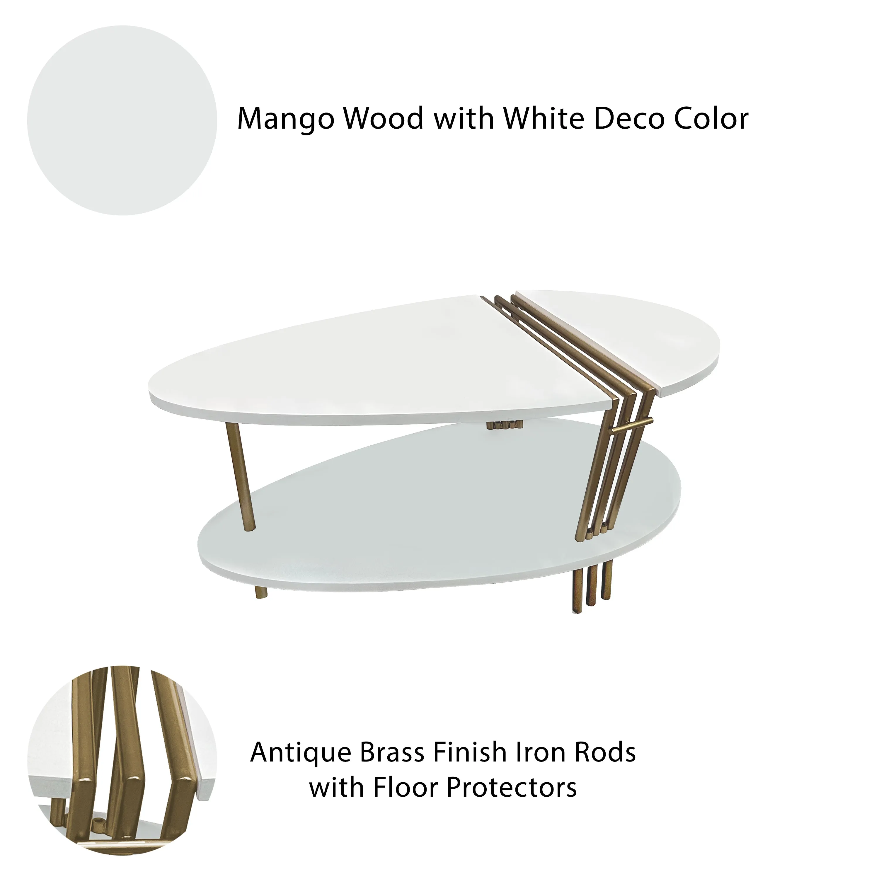 36 Inch Modern Coffee Table, Oval Elliptical Shape, White Mango Wood With Antique Brass The Urban Port