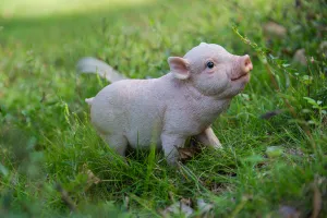 Baby Pig Standing - Pink