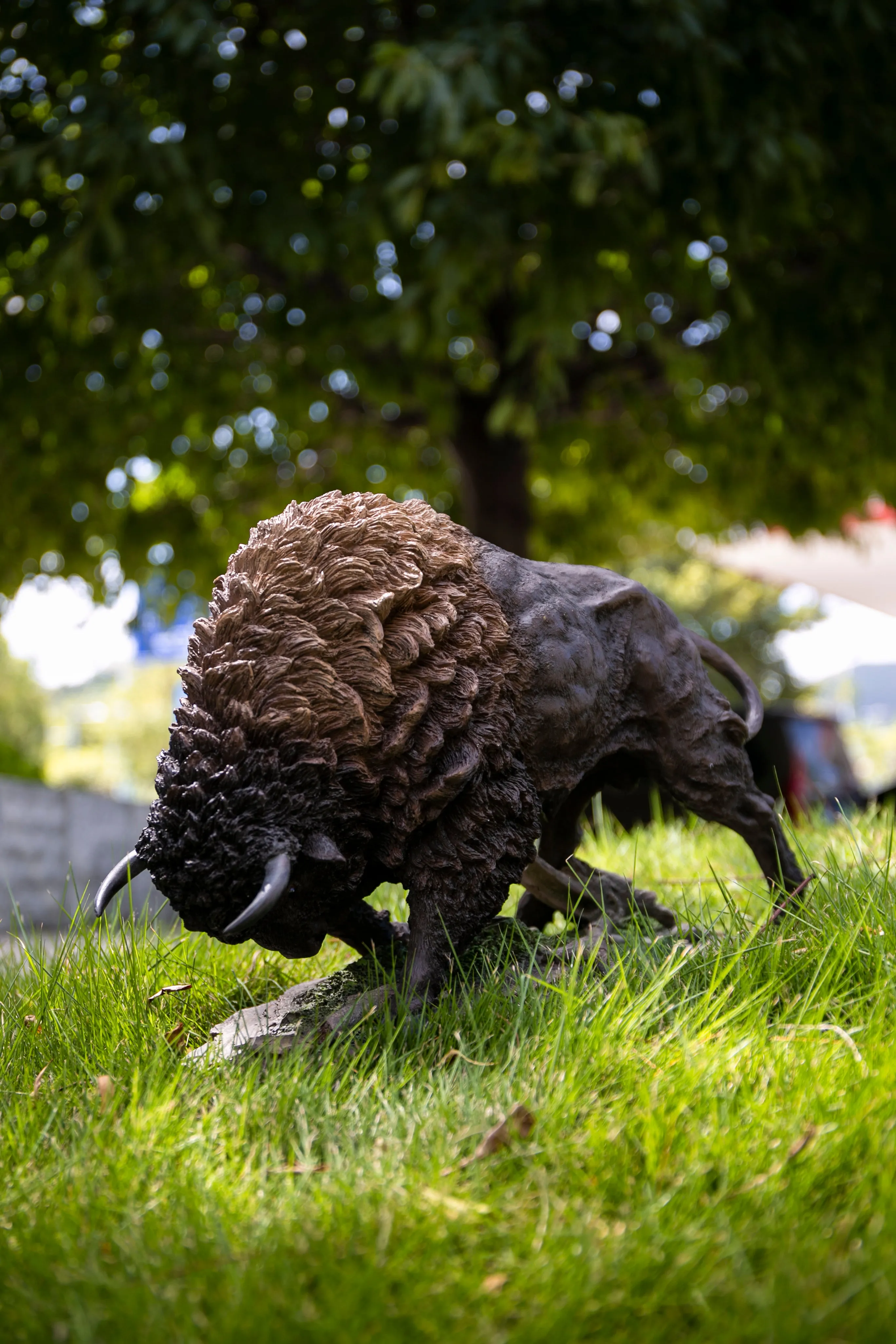 Bison Head Down - Large